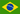 Português do Brasil