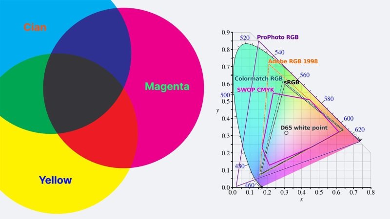 RGB Primeiro: Mais Cor, Mais Vida!