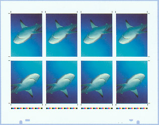 A Mako 8 pode controlar tamanhos variados de chapa de 254 x 254 mm at&eacute; 824 x 1143 mm.