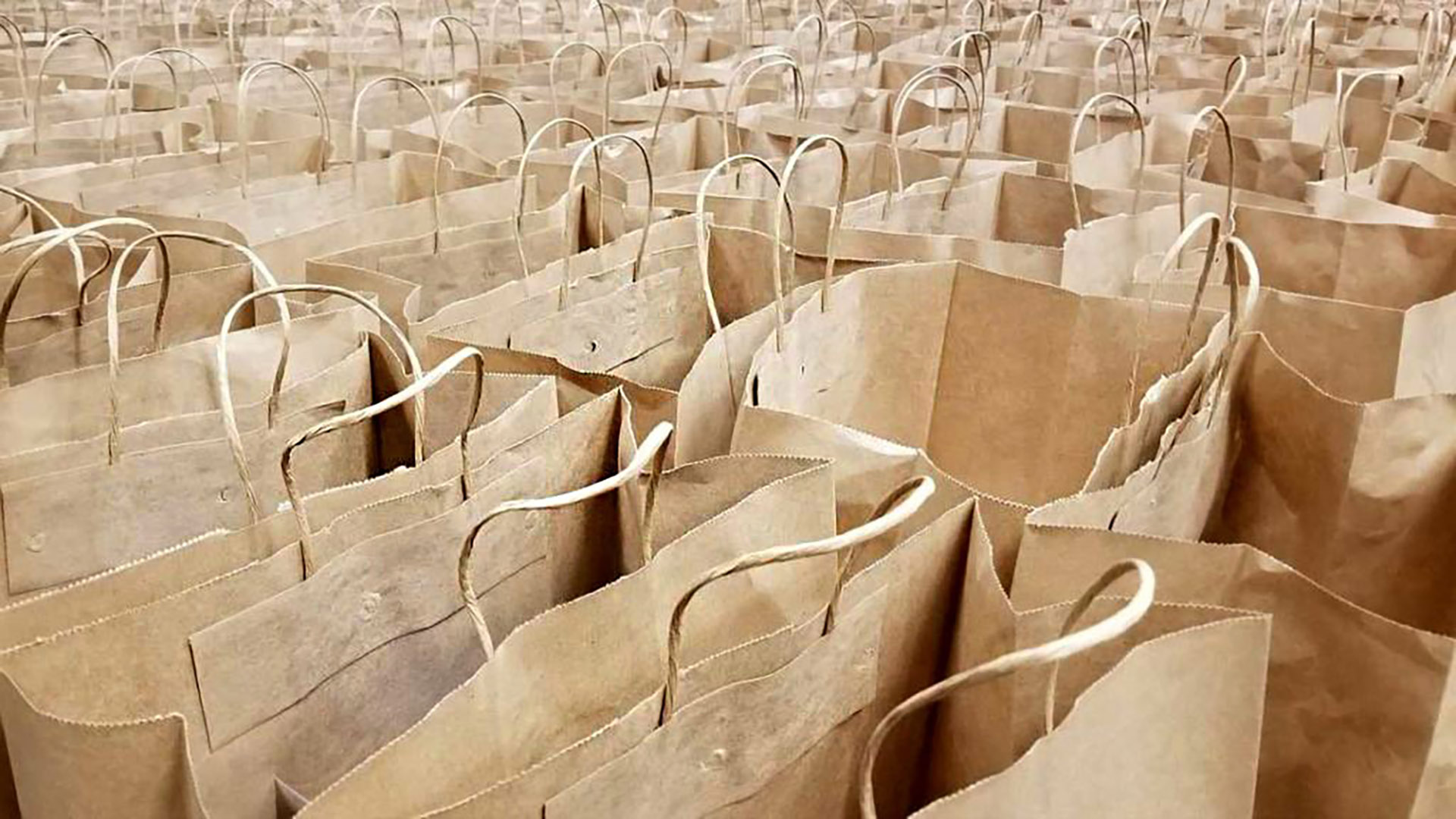 Sua gráfica no ritmo das sacolas