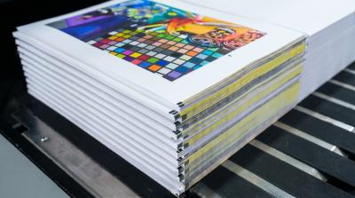 Aurora 440 - Impressora Digital Inkjet Editorial Roll to Sheet