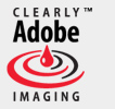 Adobe Postscript 3